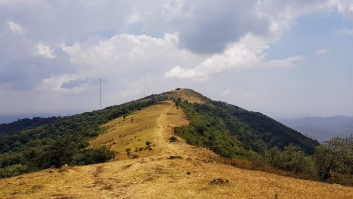 Ngong Tepeleri