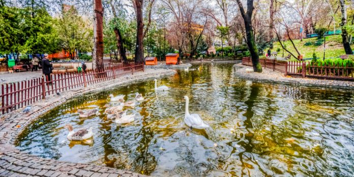 Ankara'da Huzurun Adresi: Kuğulu Park | Fixbilet Blog