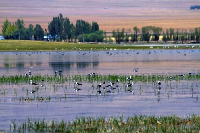 arin gölü