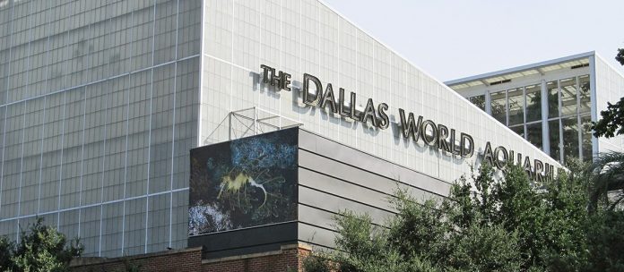 Dallas Dünya Akvaryumu