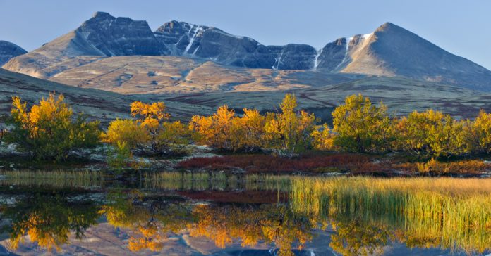 Rondane Ulusal Parkı