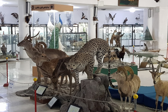 Şiraz Doğal Tarih ve Teknoloji Müzesi