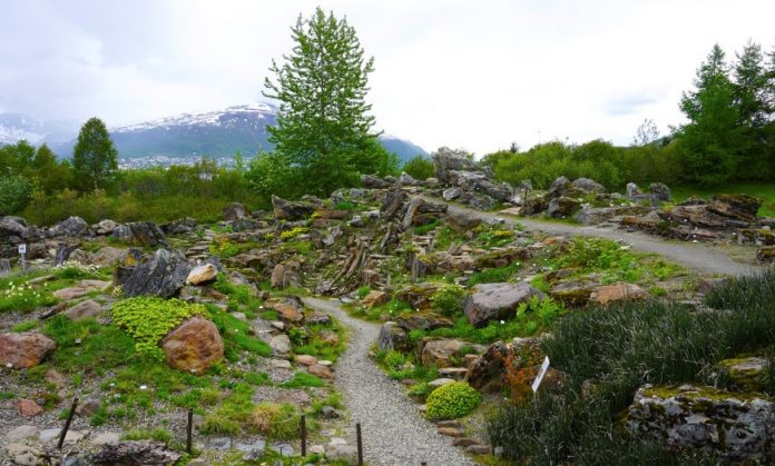 Tromso Arctic-Alpine Botanic Garden
