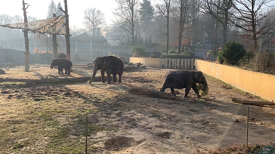 Silesian Hayvanat Parkı