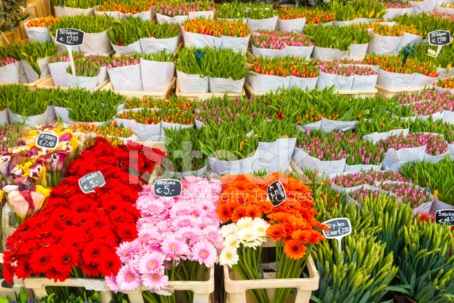 amsterdam çiçek pazarı