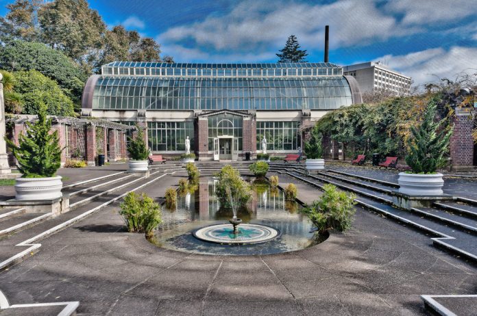 Auckland Domain Park