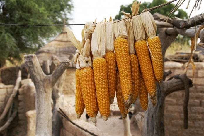 Burkina Faso geleneksel yemekleri Burkina Faso'nun Geleneksel Yemekleri