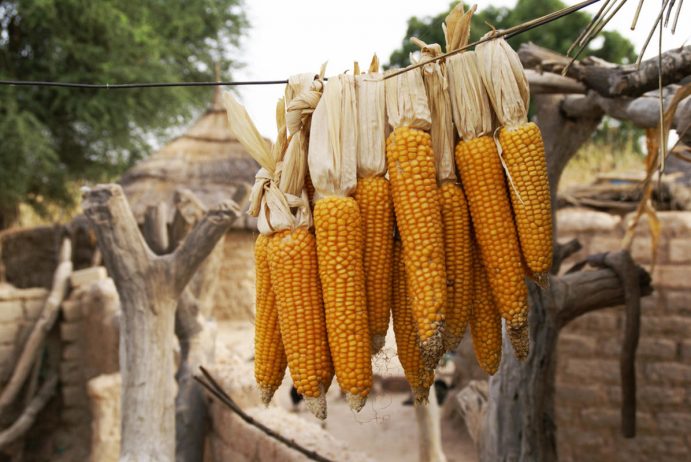 Burkina Faso'nun Geleneksel Yemekleri