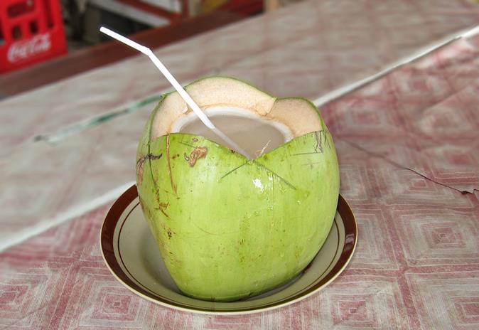 Coconut Suyu