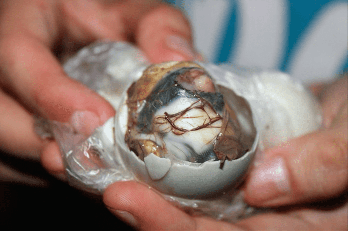 Balut