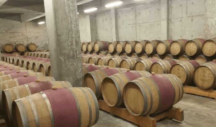 şarap fabrikaları gezisi