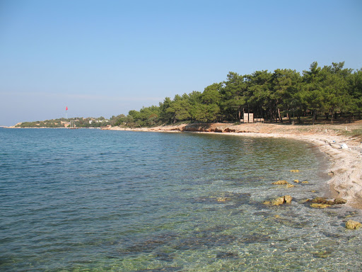 Usuluk Bay Nature Park Places To Visit In Bodrum