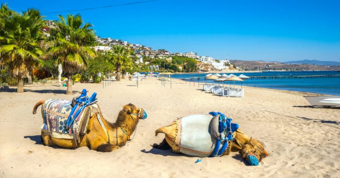Camel Beach Places To Visit In Bodrum
