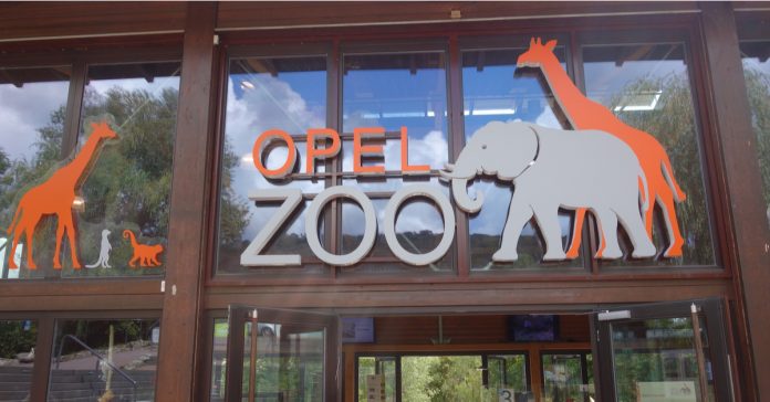 opel zoo