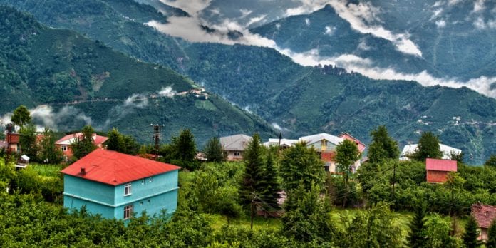 ordu Ordu