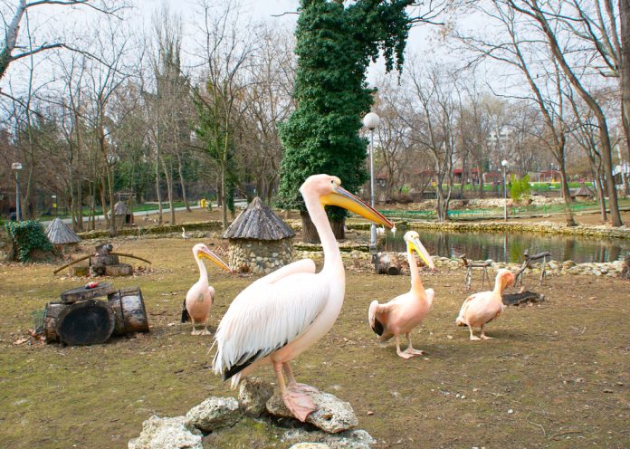 Varna Hayvanat Bahçesi