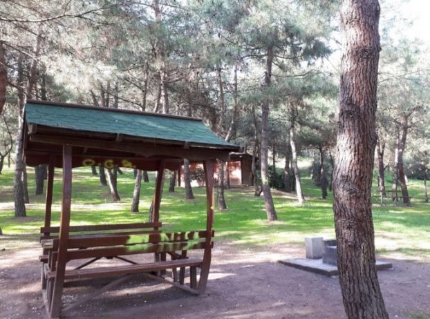 Çınarlıdere Piknik ve Kamp Alanı