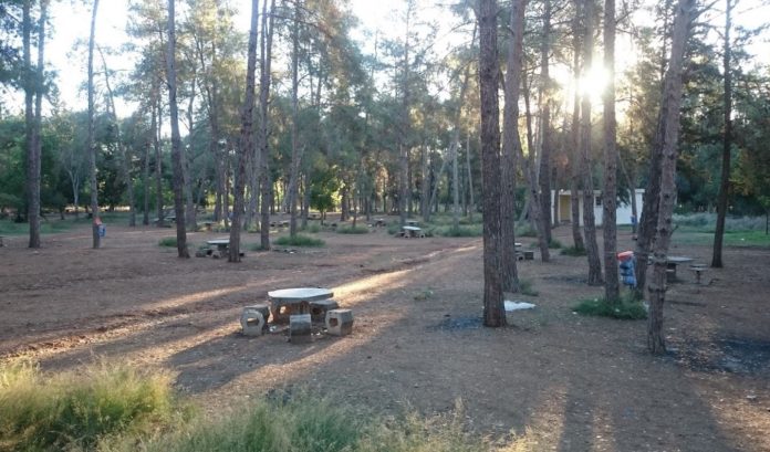 DSİ - Çamlık Piknik ve Kamp Alanı