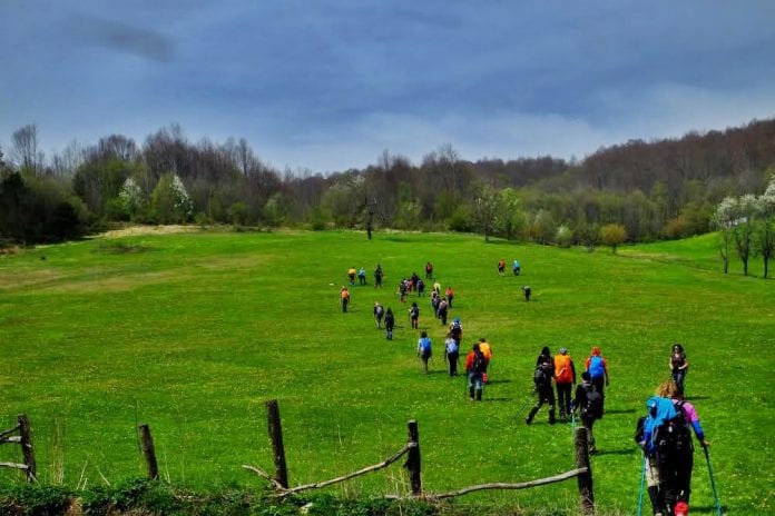 Kocaeli Kamp Yerleri | Kocaeli'de Ücretsiz 21 Kamp Alanı 2 Menekşe Yaylası Kamp Alanı kocaeli kamp yerleri
