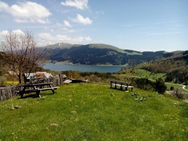 Sarıyer Yaylası Kamp Alanı