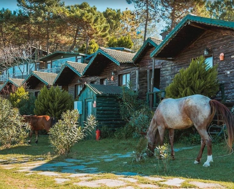 İstanbul�a Yakın En İyi Bungalov Evler ve Fiyatları Biletbayi Blog
