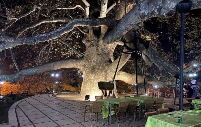Bursa Tarihi Çınar Ağacı Çay Bahçesi