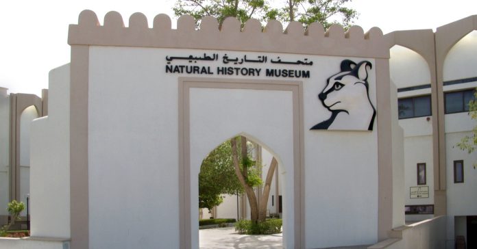 Doğa Tarihi Müzesi