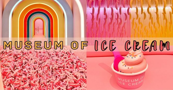 museum of icecream